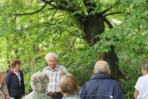 Rudolf Schröder im Heynitzer Schlosspark 2020, Foto: E.v.W.