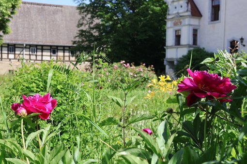 Schlosshof Heynitz, Juni 2026, Foto: EvW