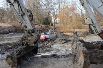 Schlosspark Heynitz: Sanierung des Inselteichs abgeschlossen