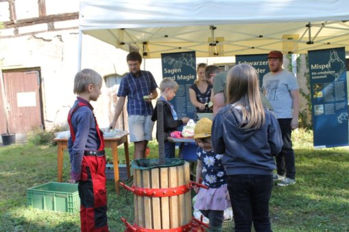 Streuobsttag in Heynitz 2024, Foto: EvW