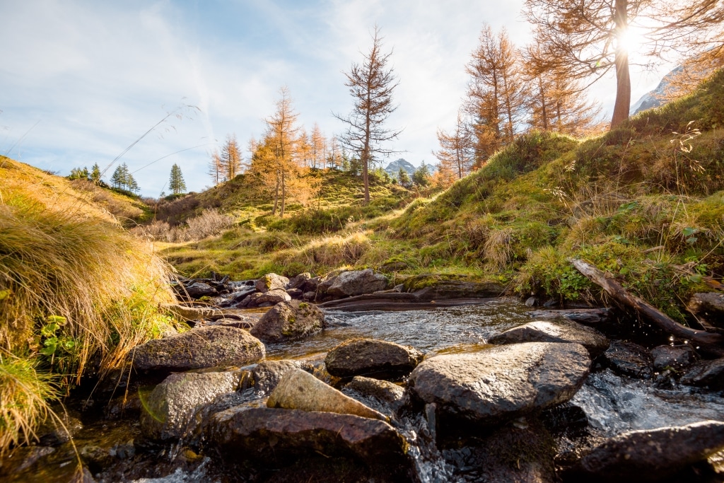 Wundervolle Natur genießen