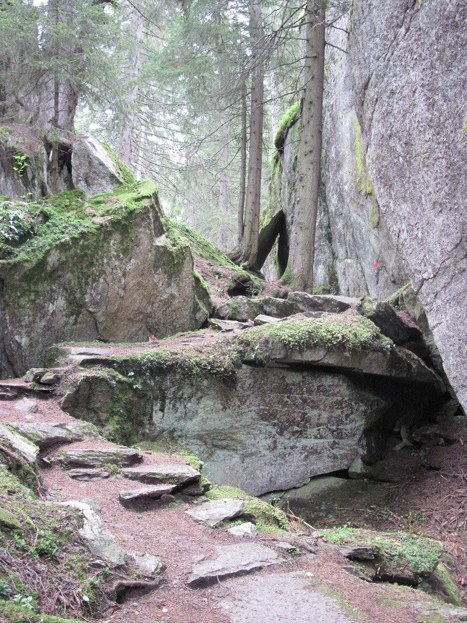 Im Wald Richtung Massaweg