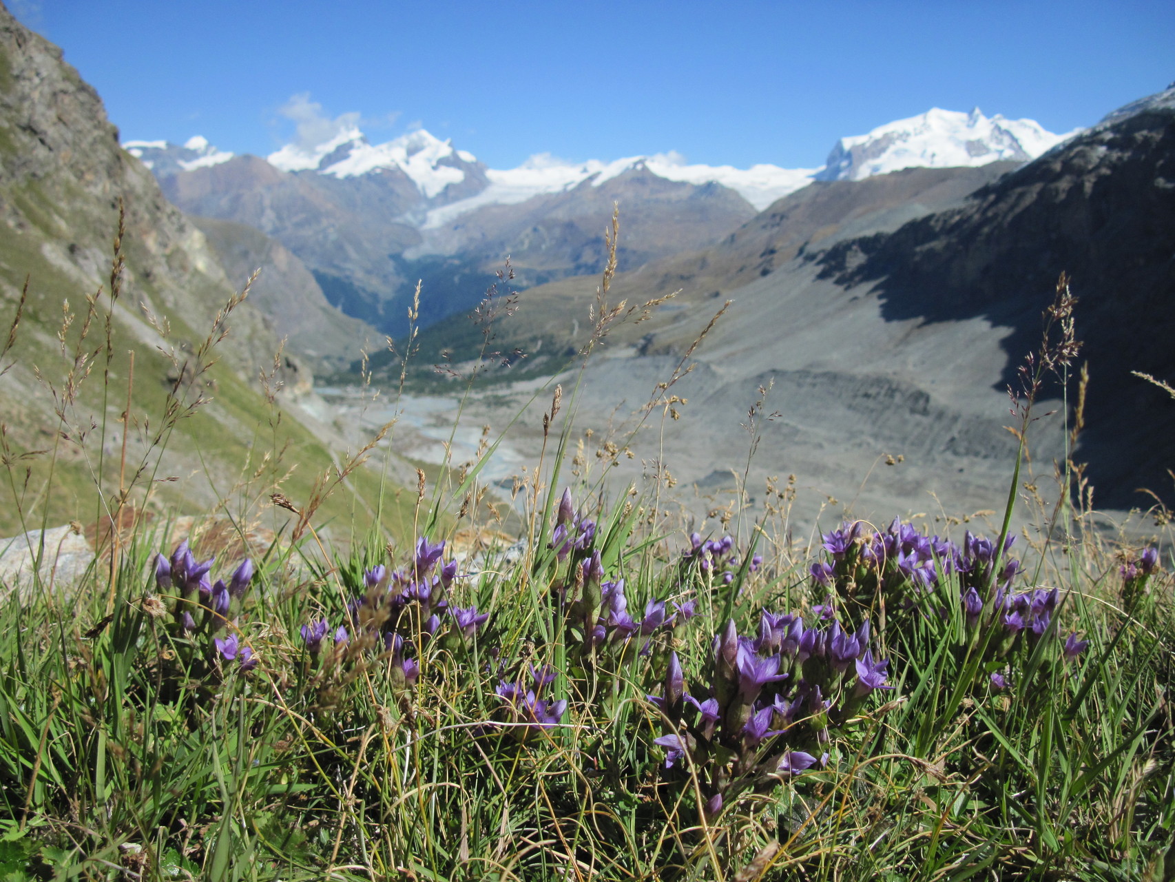 Ausblick auf viele 4000-er