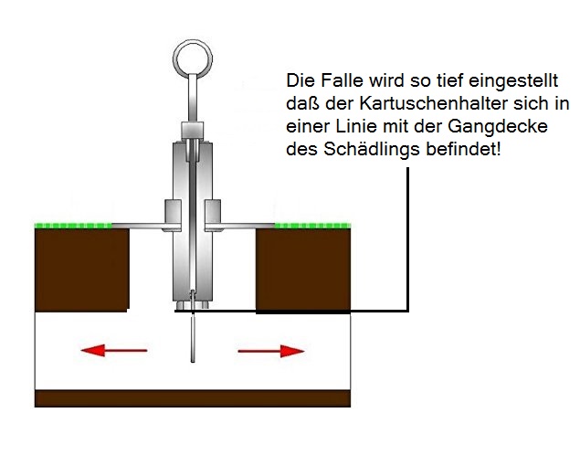 Höheneinstellung der Wühlmausschussfalle top-fox®