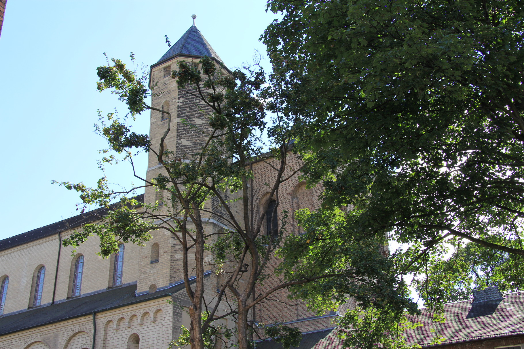 Führung Romanische Kirchen - St. Maria im Kapitol  (nahe Heumarkt)