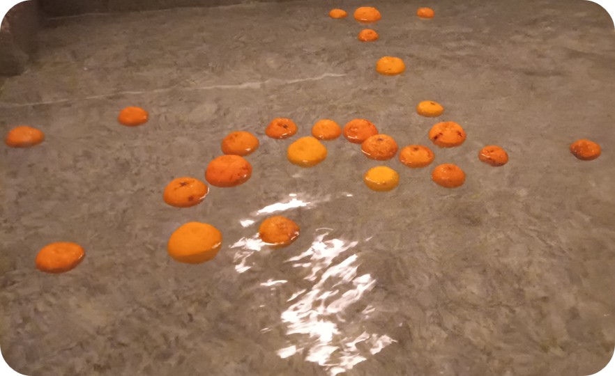 【浜川荘】冬至にゆず湯♨