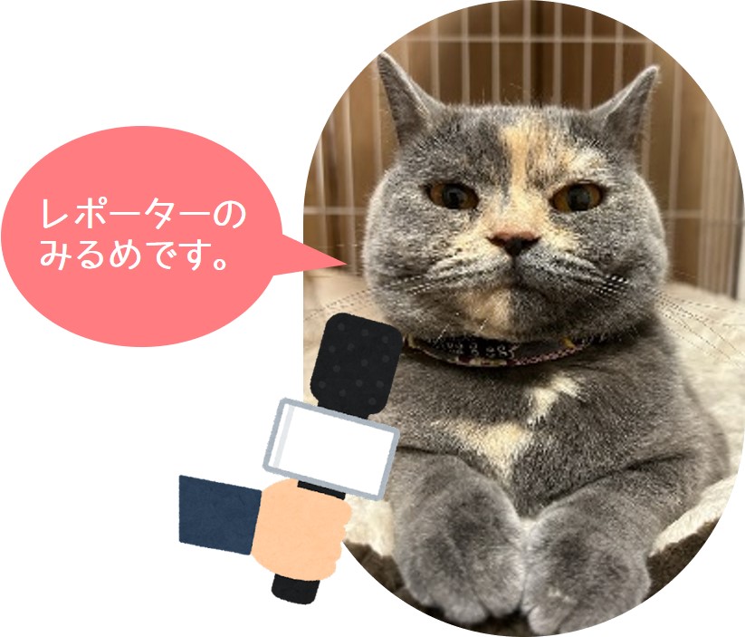 【浜川荘】繋がりを大切に