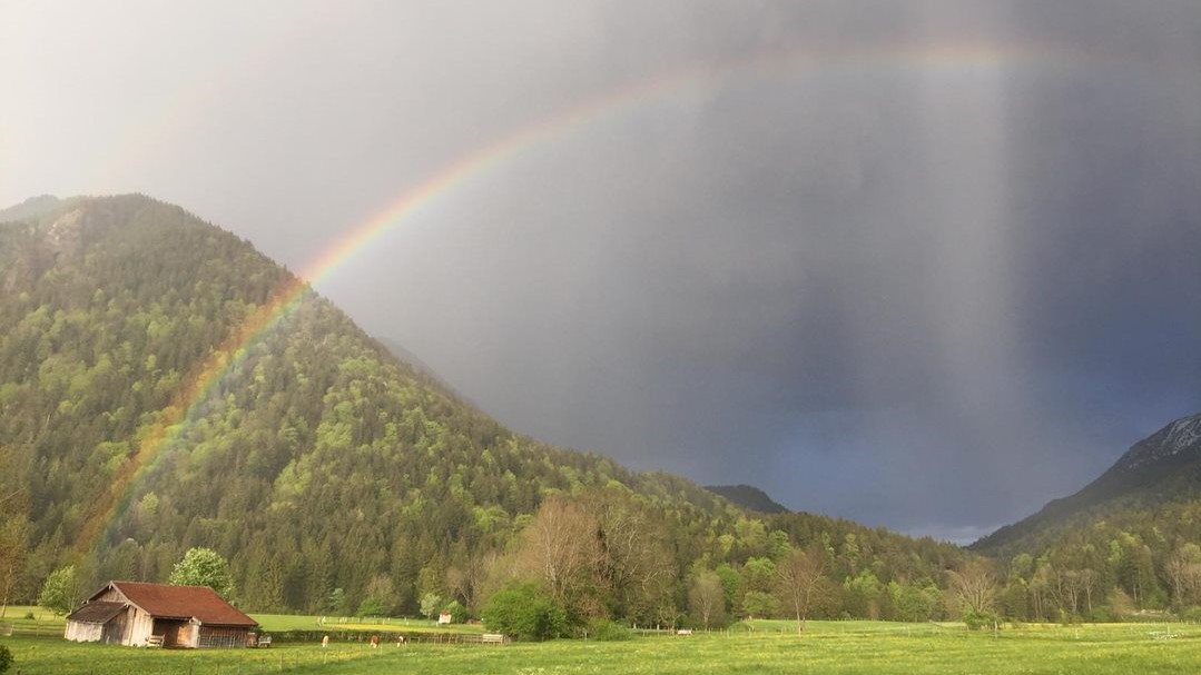 Umweltausschuss gegründet