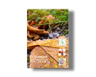 Adventspfarrbrief Nr. 2/2025