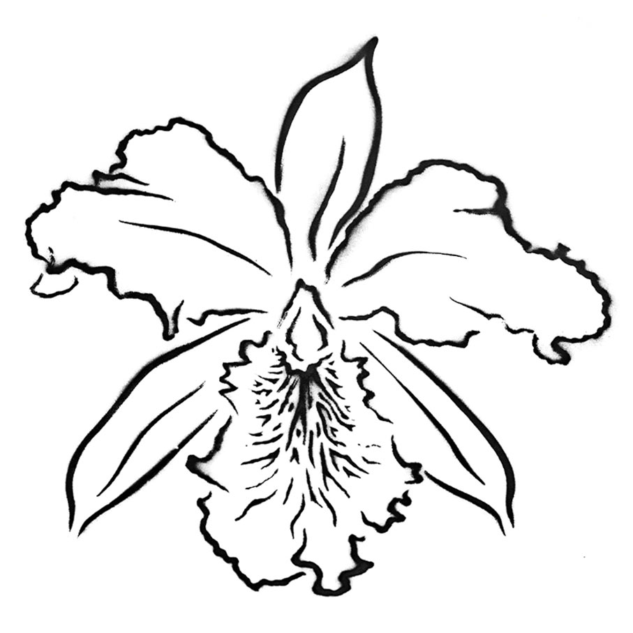 kostenlose ORCHIDEEN STENCIL / SCHABLONEN VORLAGE zum runterladen und selberschneiden für deine Stencil Art, Street Art, Urban Art und Graffiti Projekte.