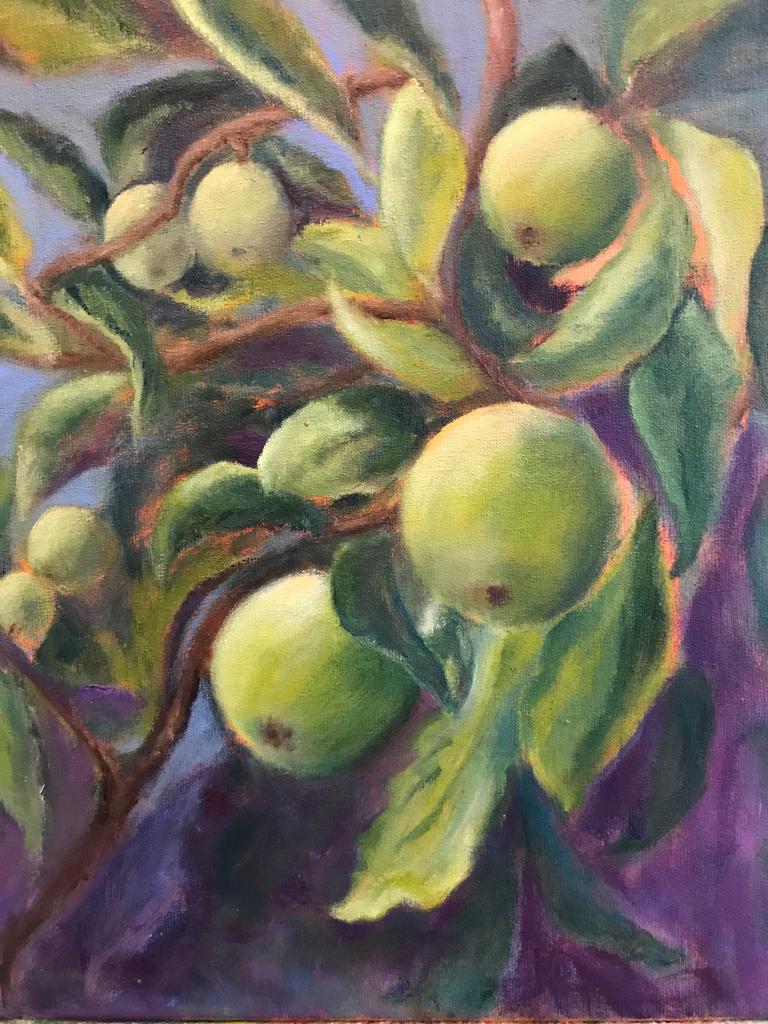 Appels in paars. verkocht.