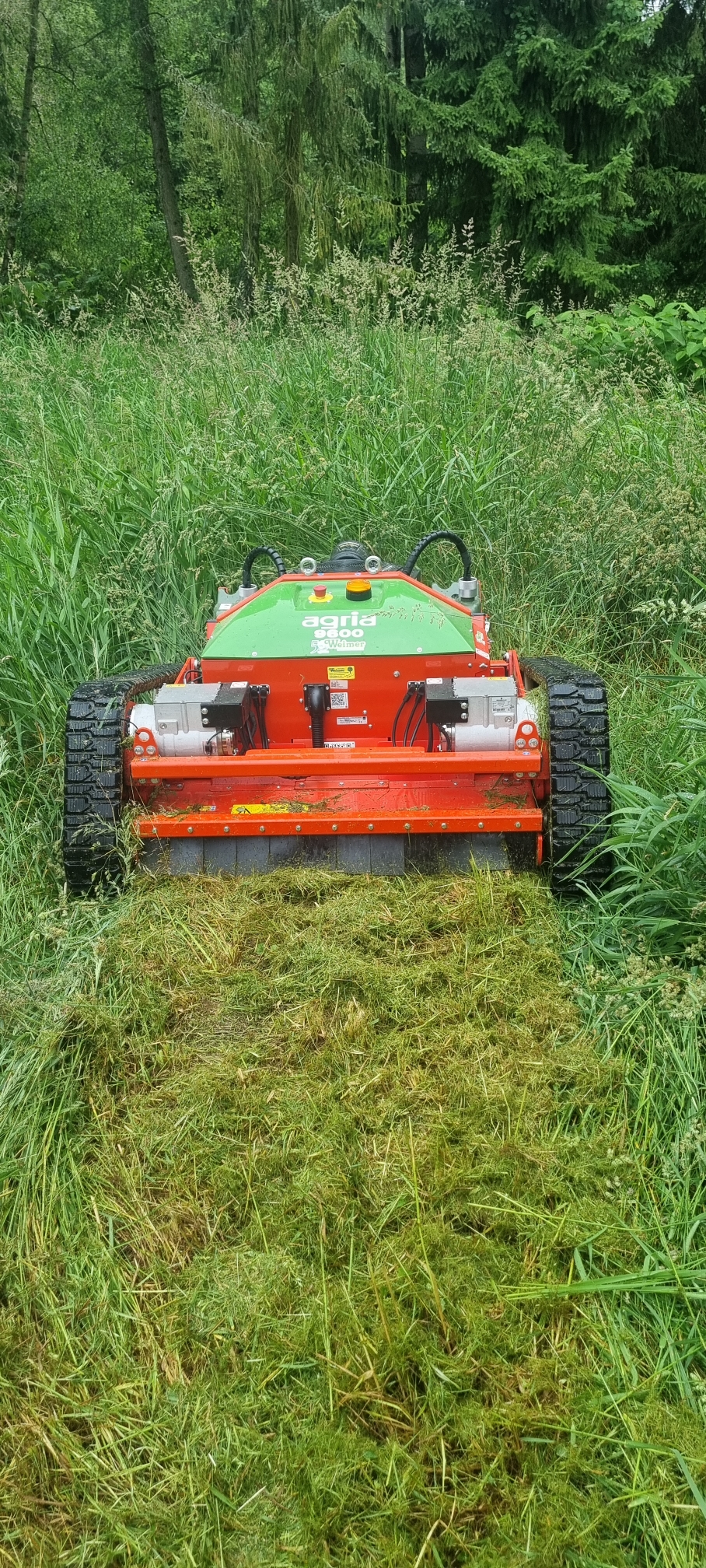 Teichanlage mulchen 
