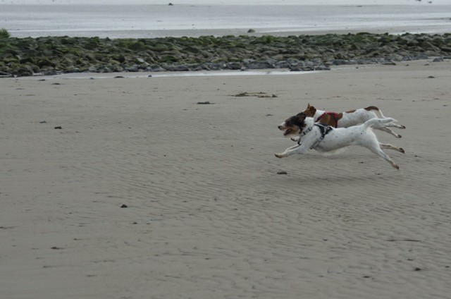 ..am Strand.