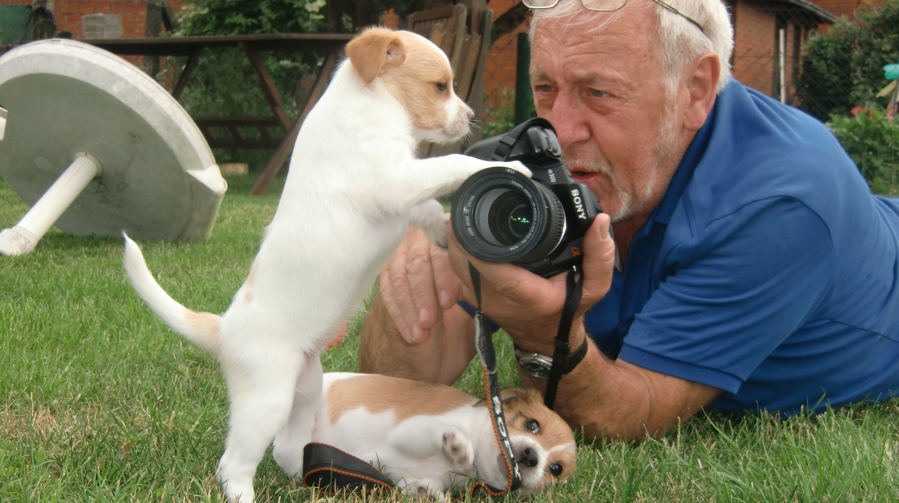 Paul, der Fotograf mit Welpen