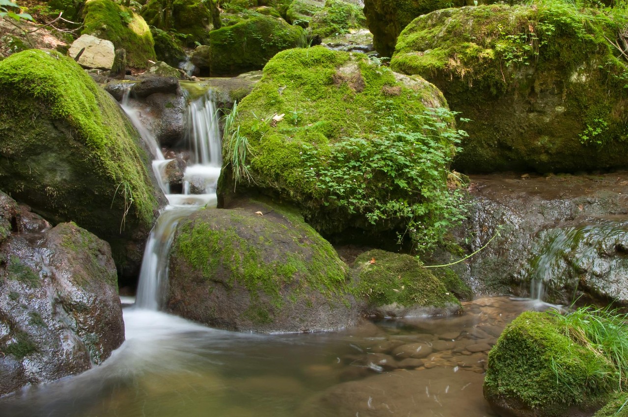 twannbachschlucht