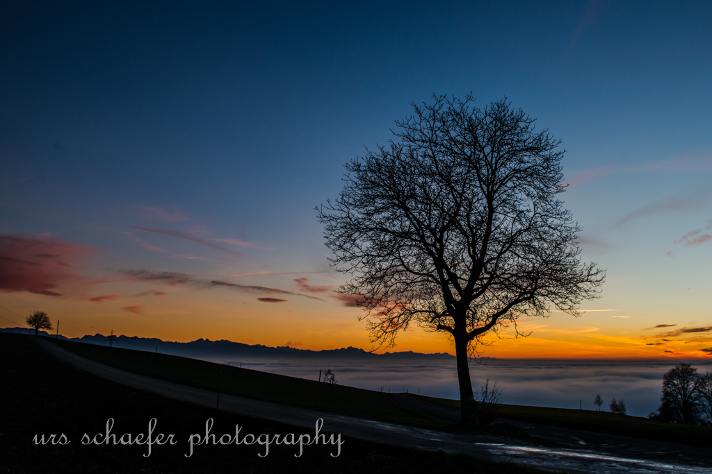 abendstimmung am frienisberg