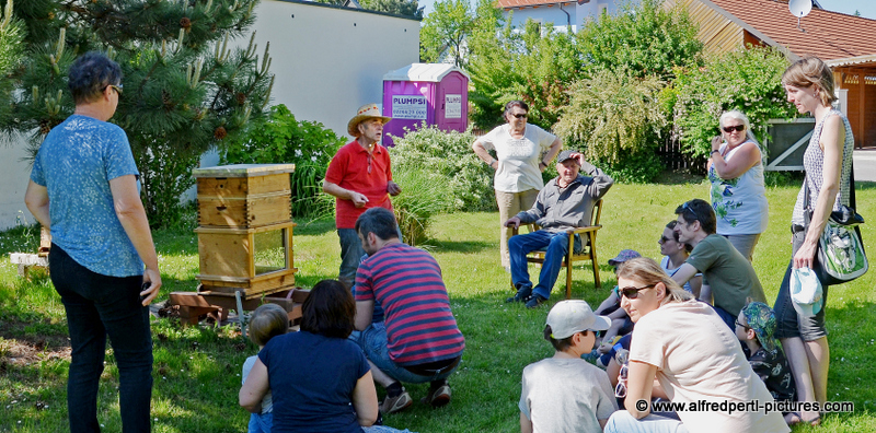 Tag des offenen Bienenstocks beim Fröhlichen Imker Anton Fröhlich in Spillern