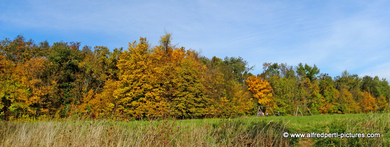 Herbst am Bisamberg