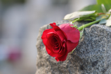 "Rüttelprobe" auf Heimburgs Friedhof