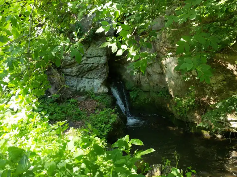 Mönchmühlenteich Blankenburg
