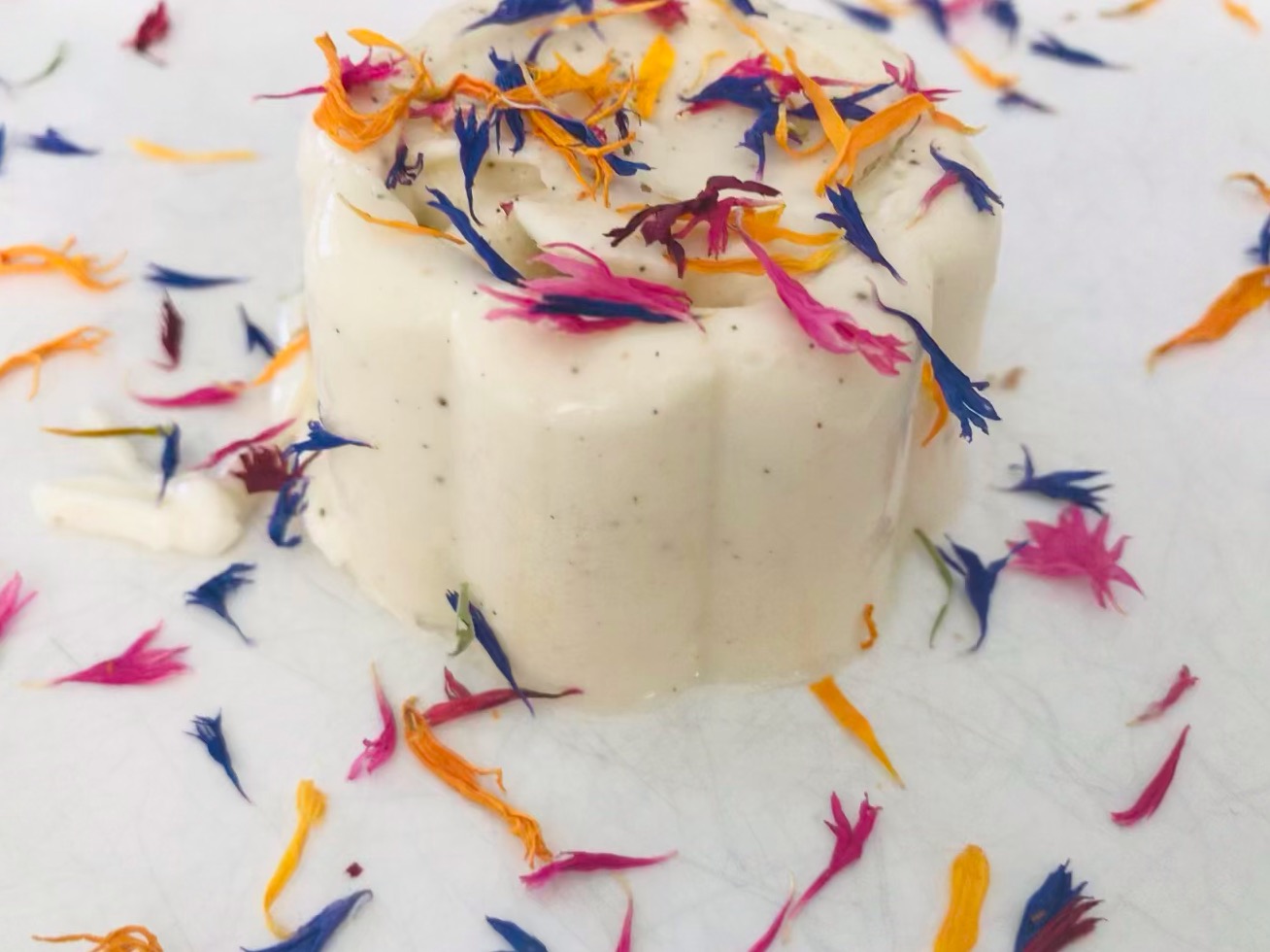 Vanille-Pudding