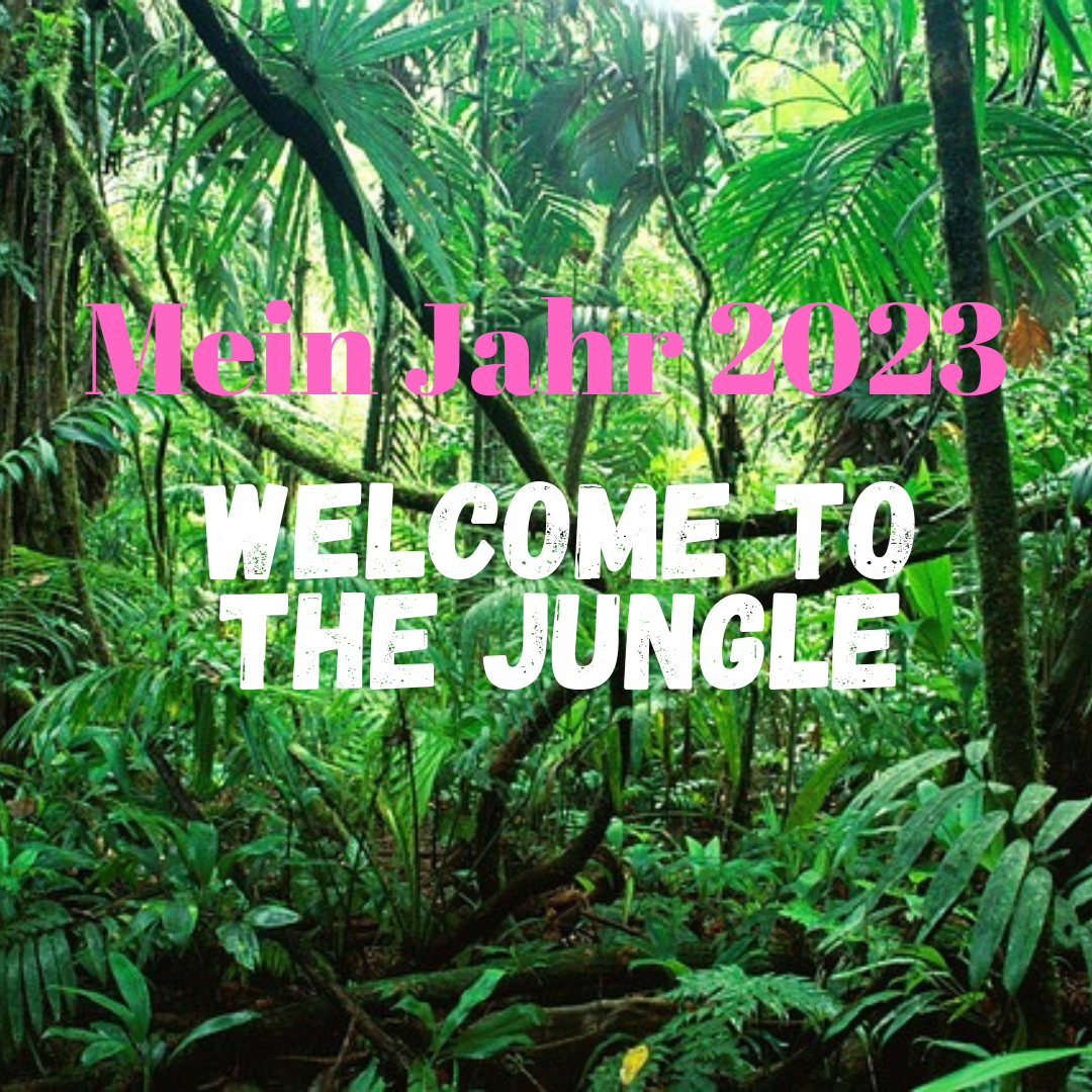 Mein Jahr 2023: welcome to the jungle