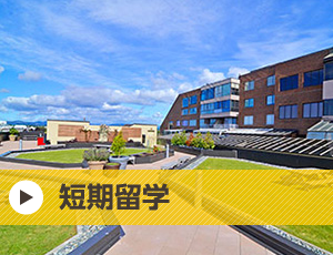 短期留学
