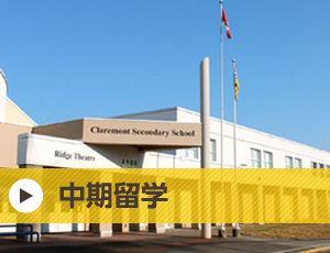 中期留学