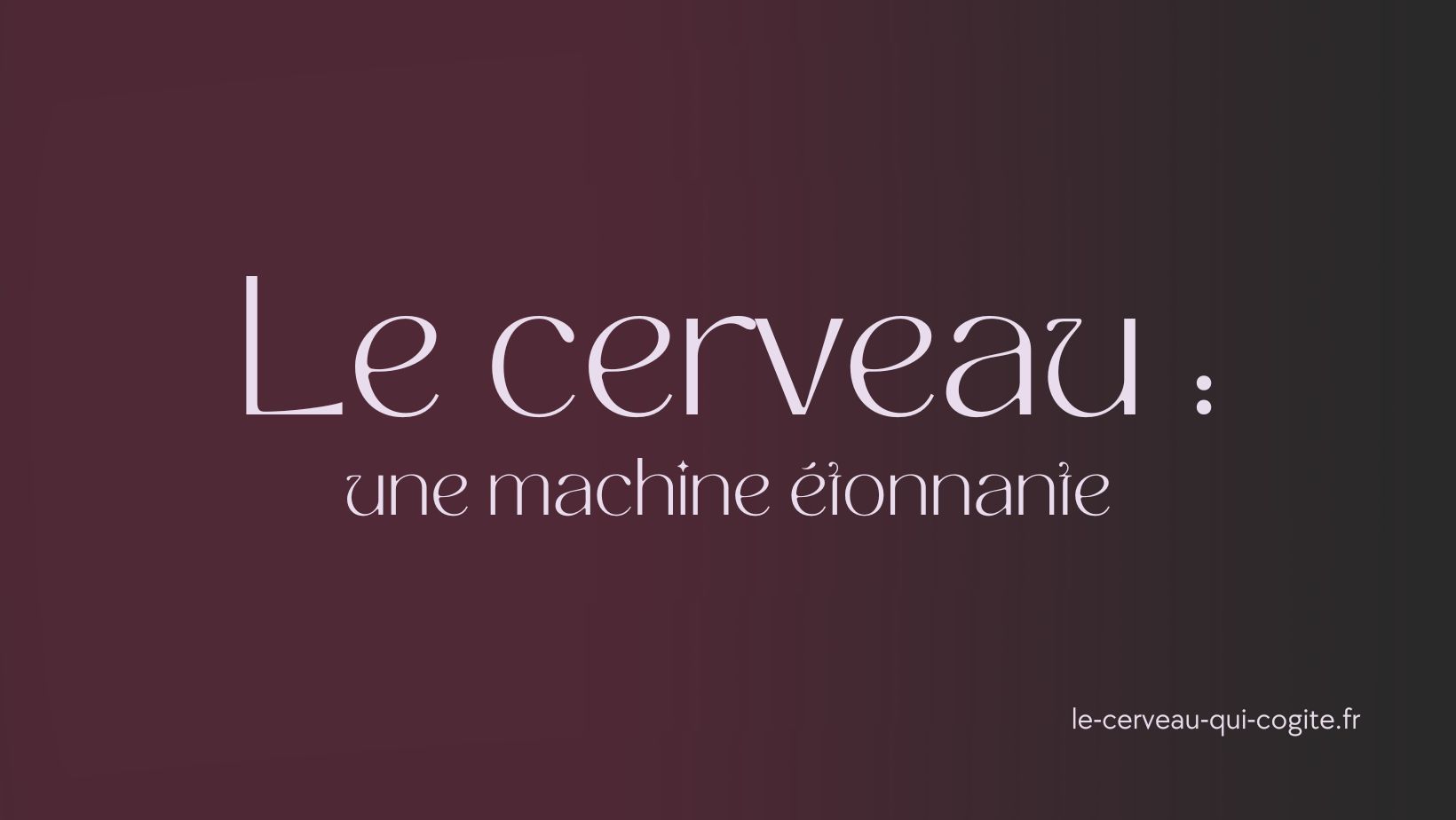 Le cerveau : une machine étonnante