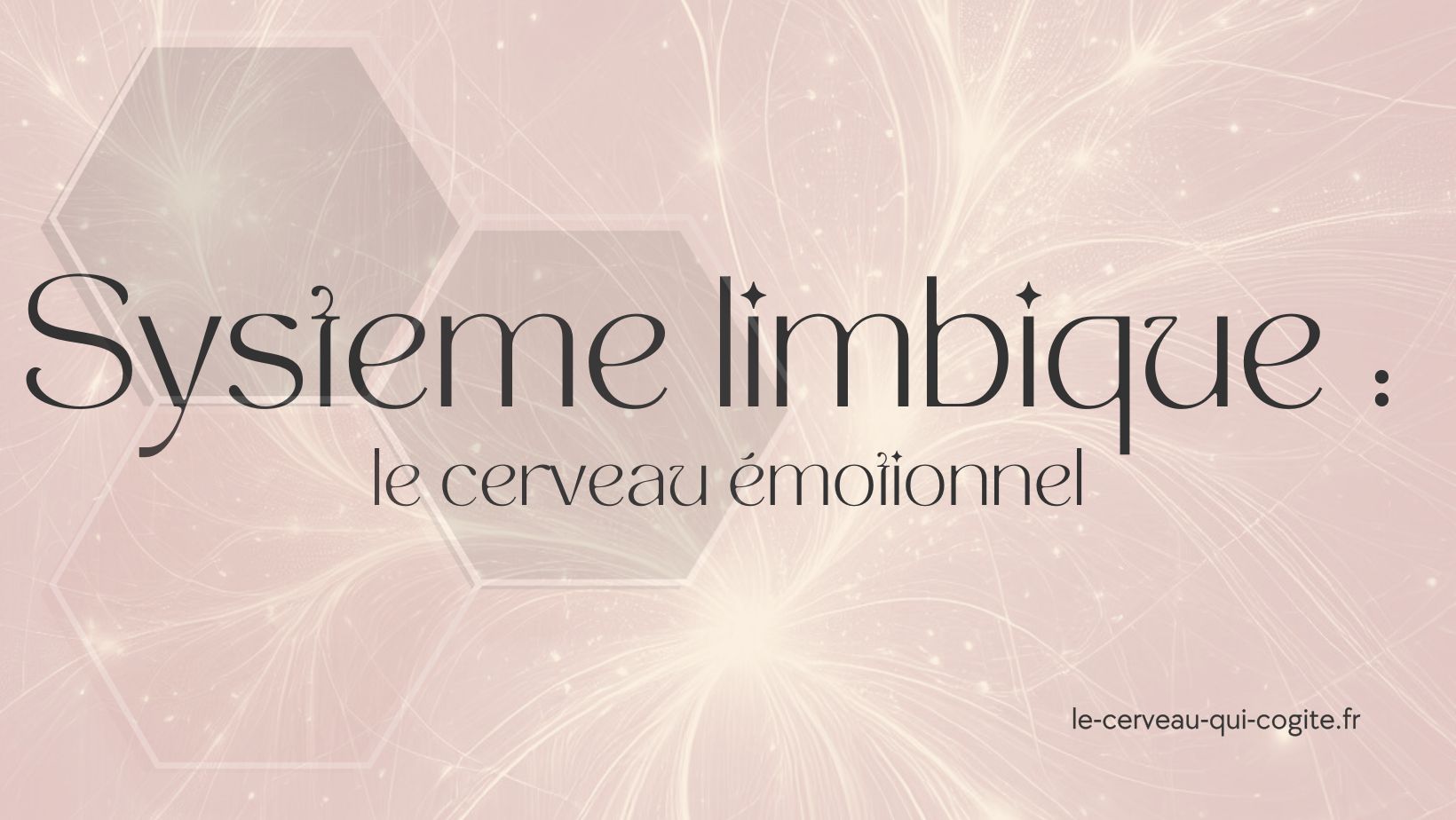 Système limbique : le cerveau émotionnel