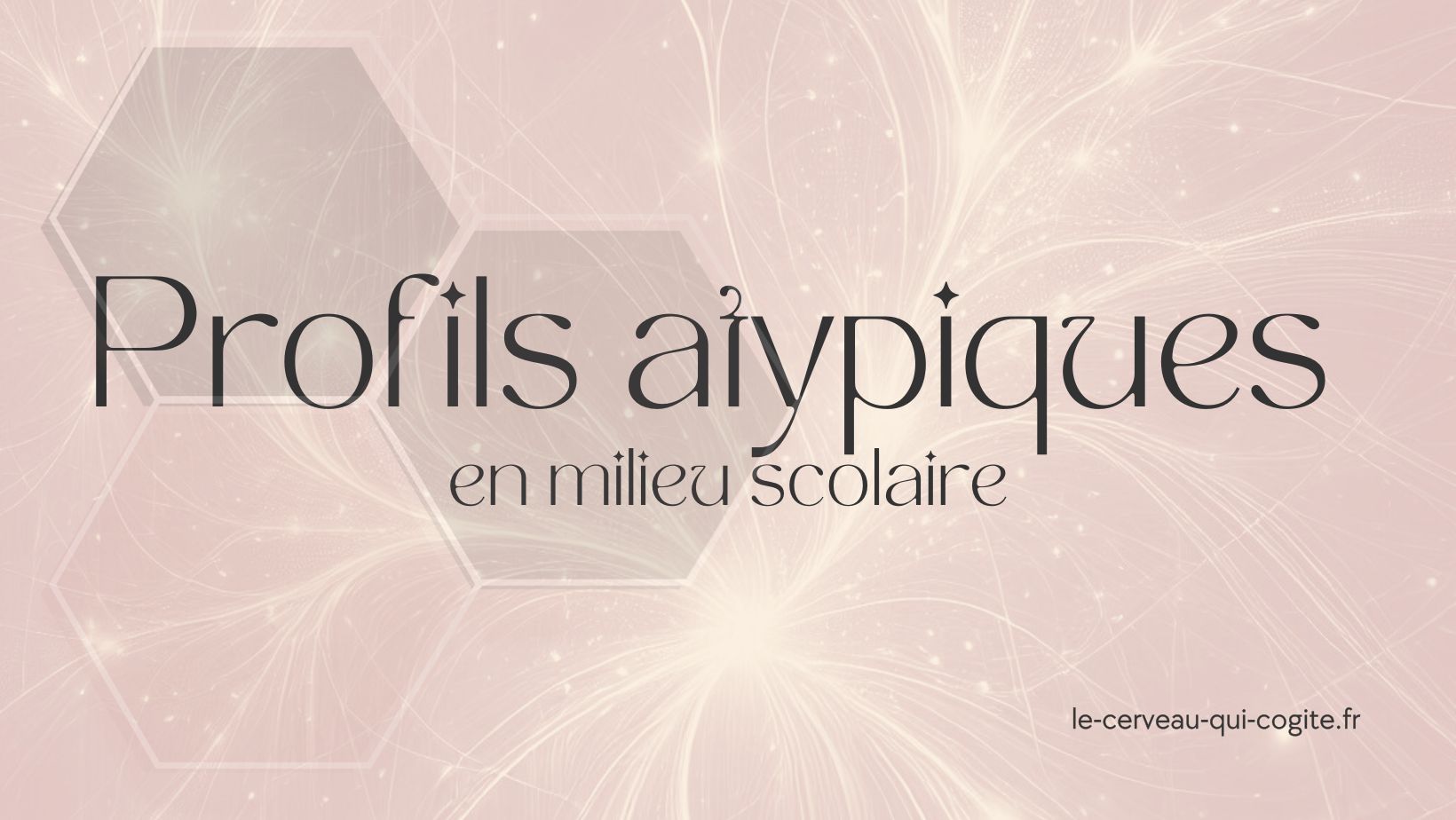 Les profils atypiques en milieu scolaire
