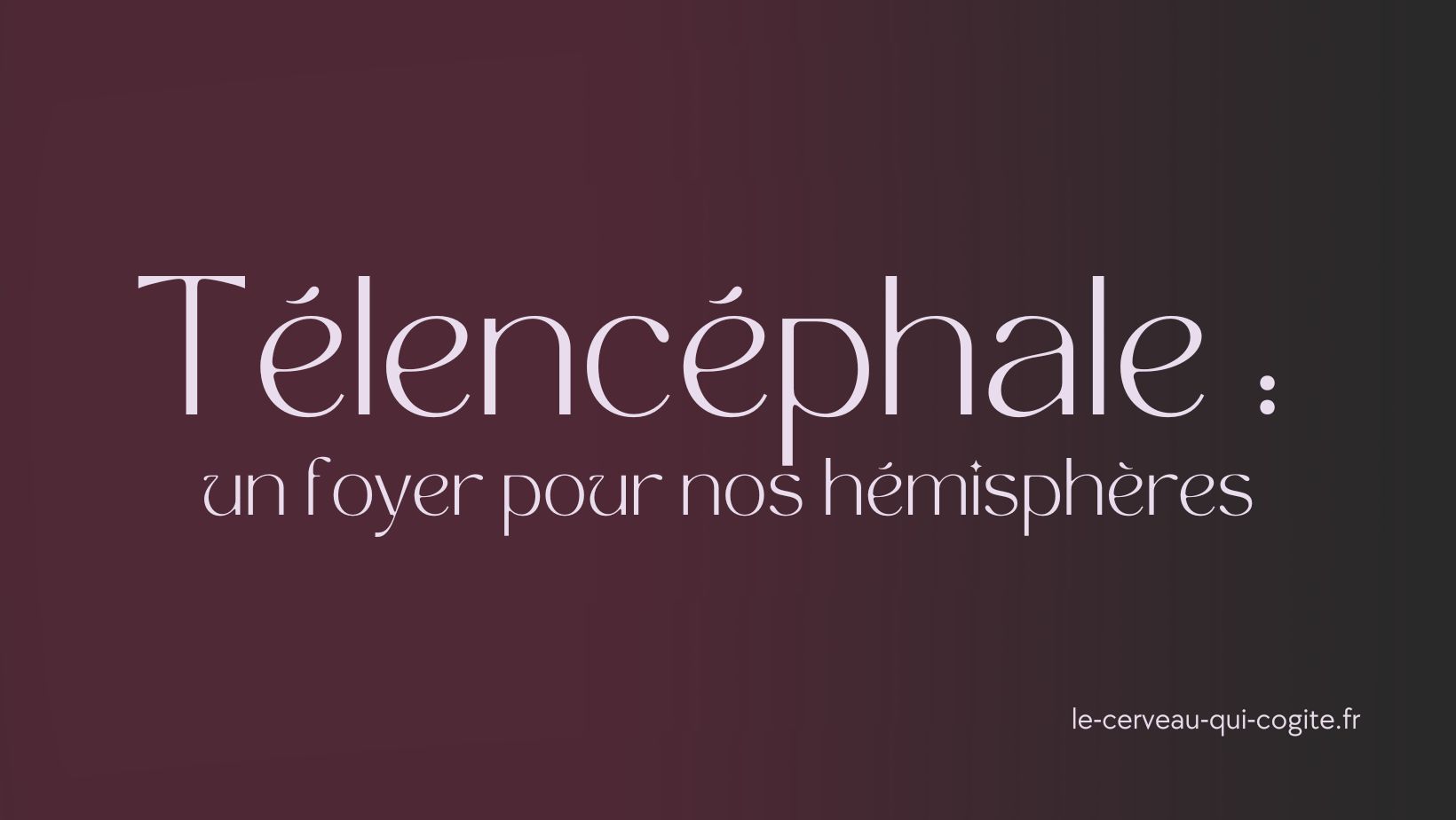 Le télencéphale : un foyer pour nos hémisphères