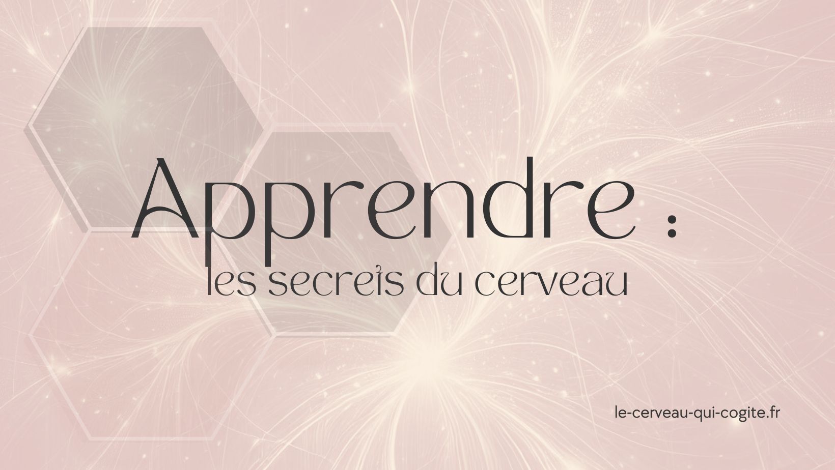 Les secrets du cerveau pour apprendre