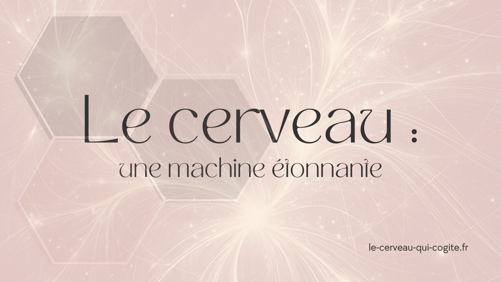 Le cerveau : une machine étonnante
