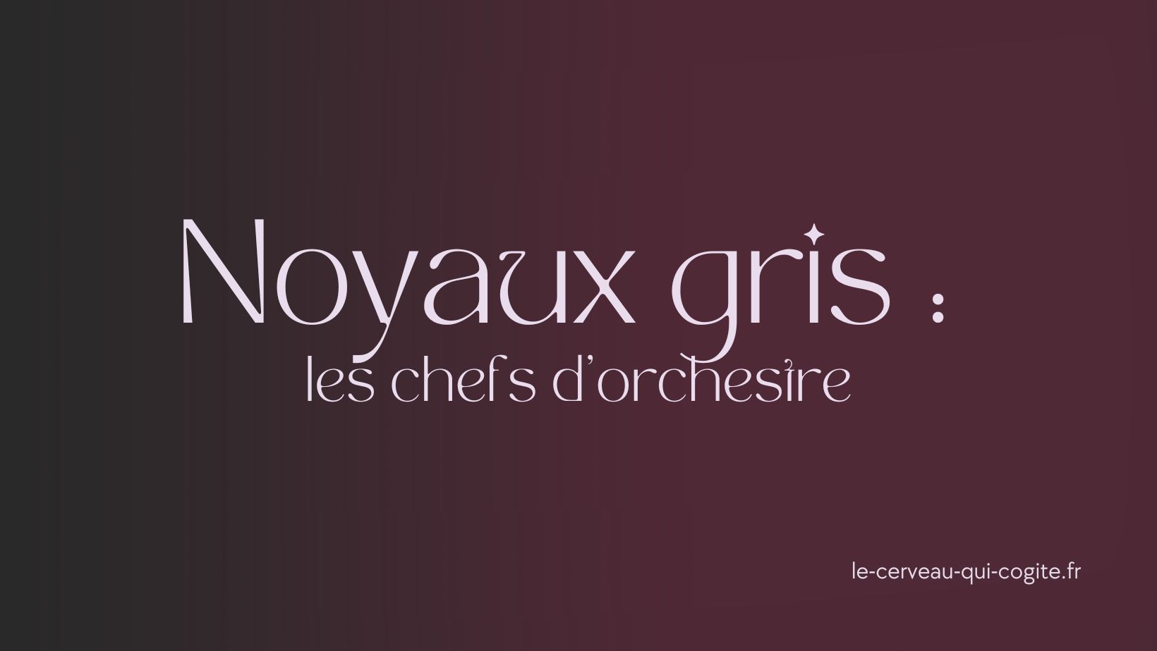 Noyaux gris centraux : les chefs d'orchestre