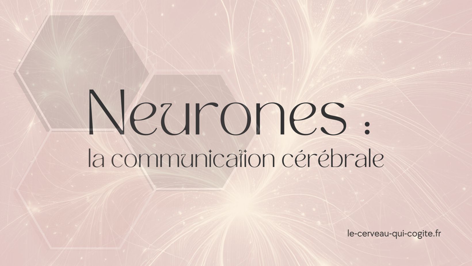Les neurotransmetteurs : la communication cérébrale