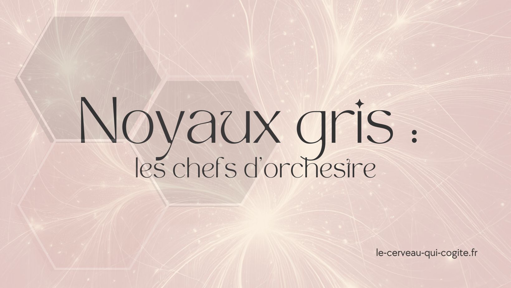 Noyaux gris centraux : les chefs d'orchestre