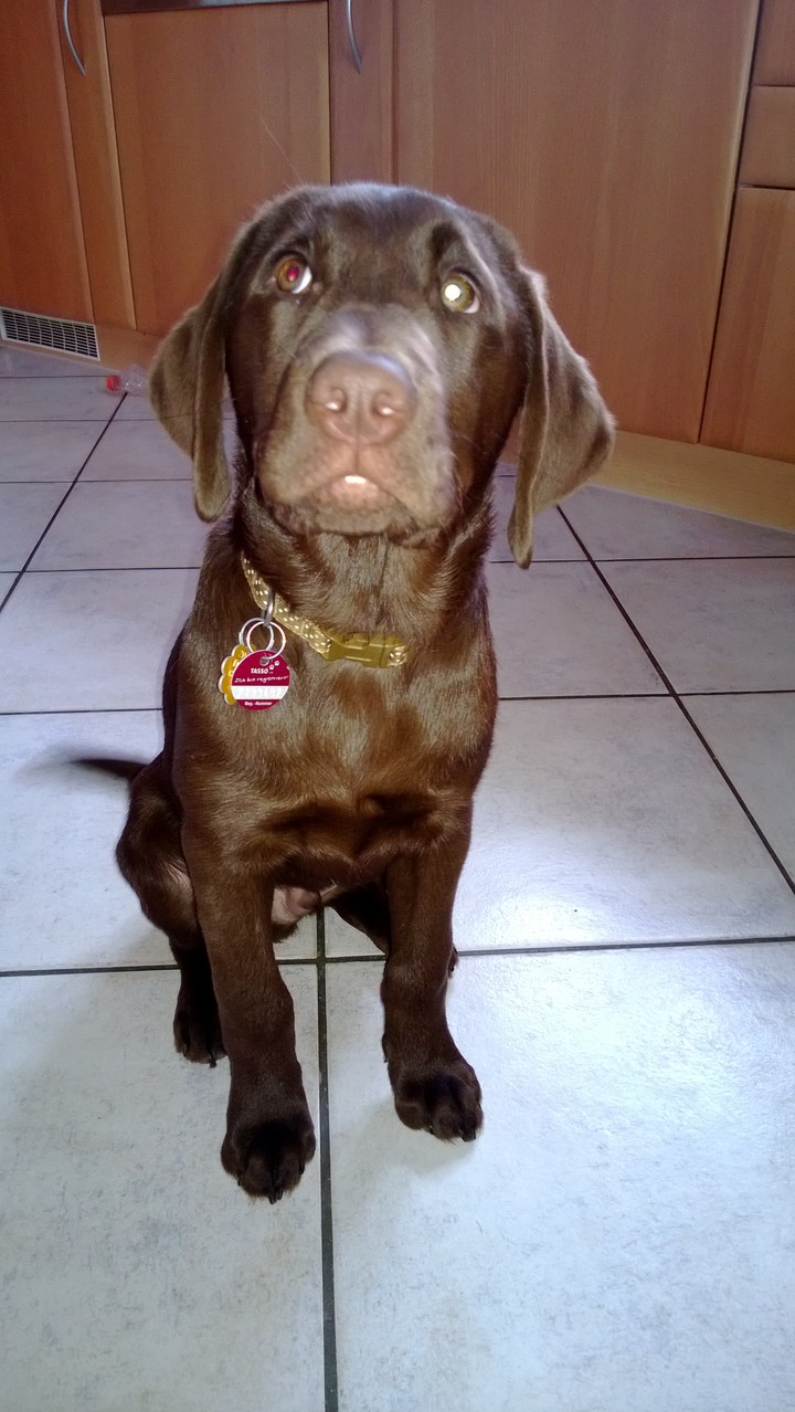 Balu Feb.2014