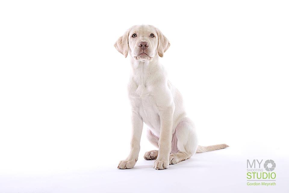 Bailey Feb. 2014