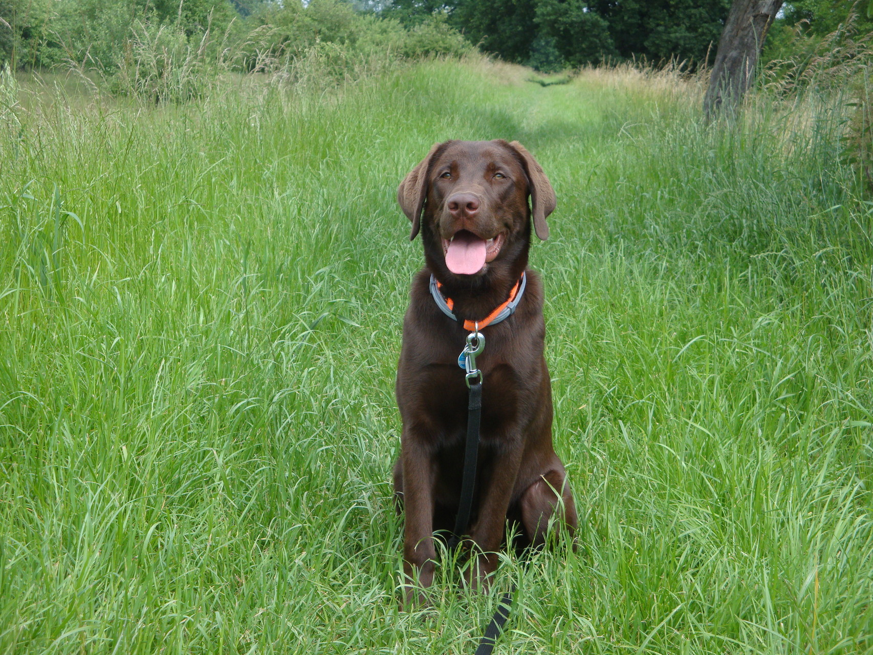 Murphy Juni 2014
