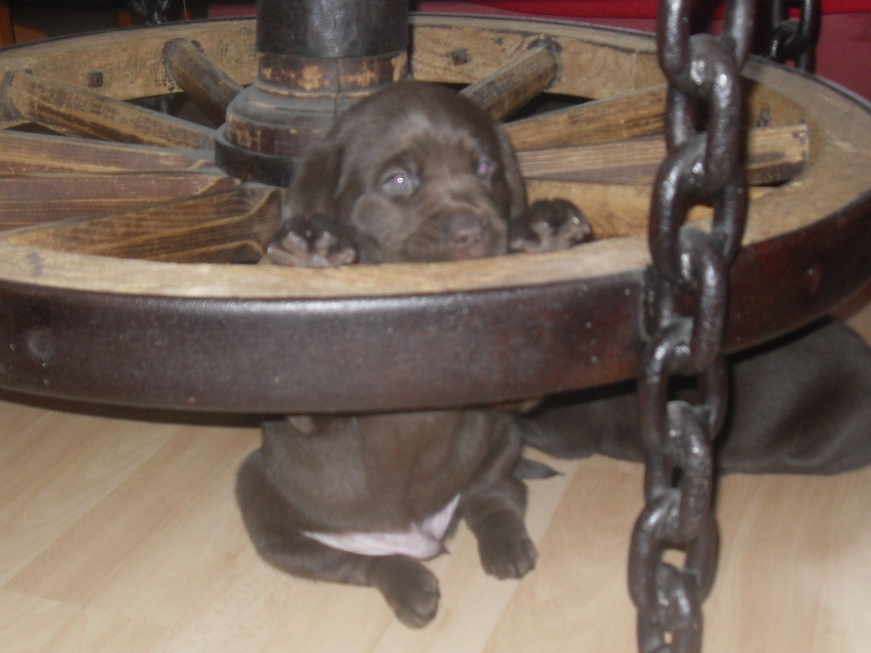 Charly