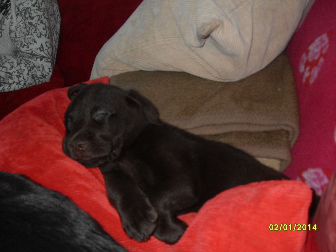 2.1.2014 Barry