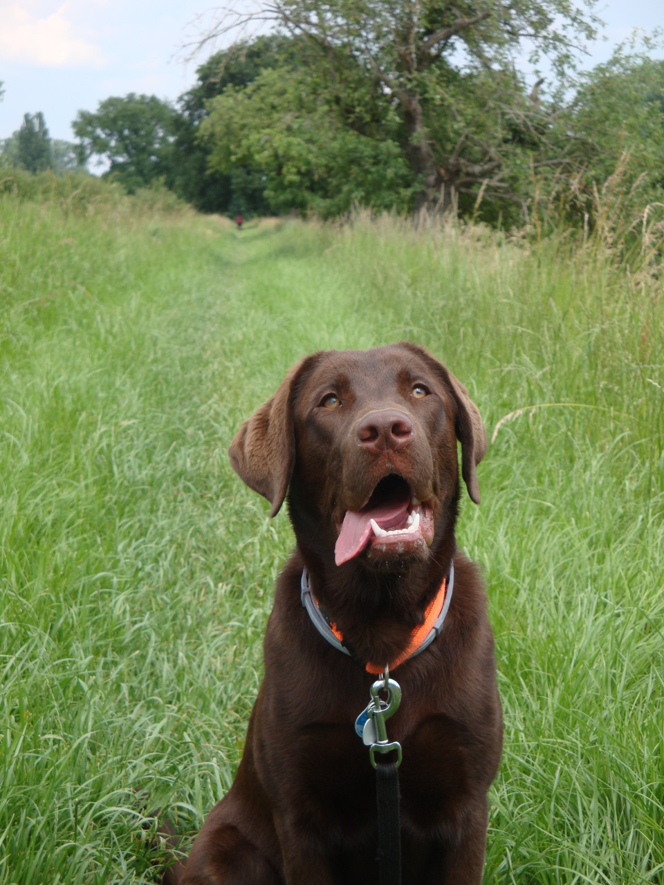 Murphy Juni 2014