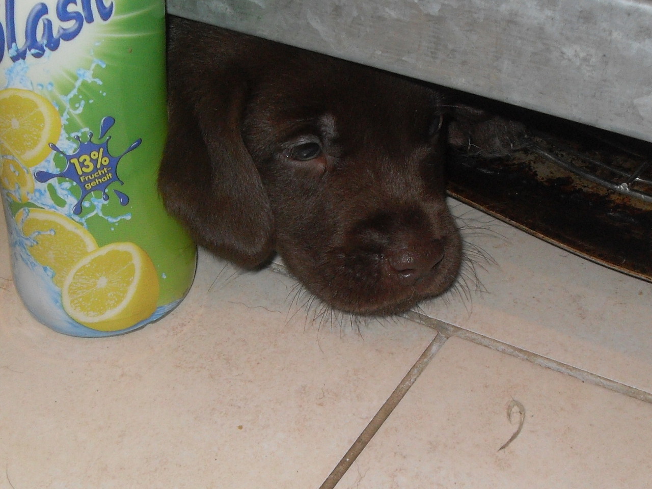 25.12.2013 Bean