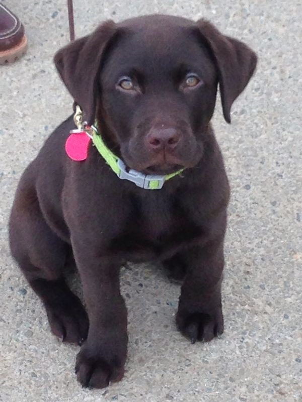 Barry Feb.2014