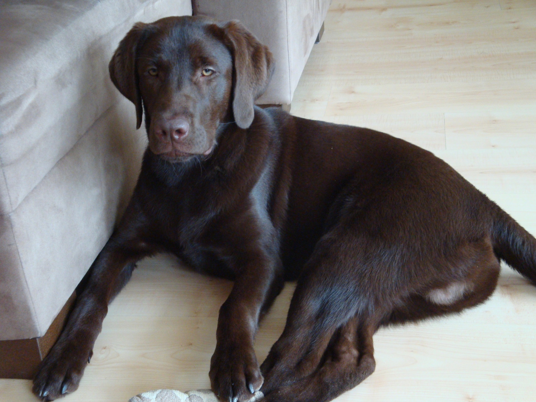Murphy Mai 2014