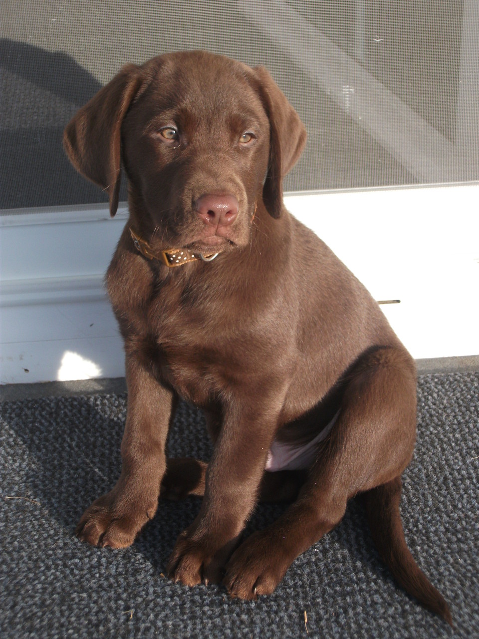 Balu Feb.2014