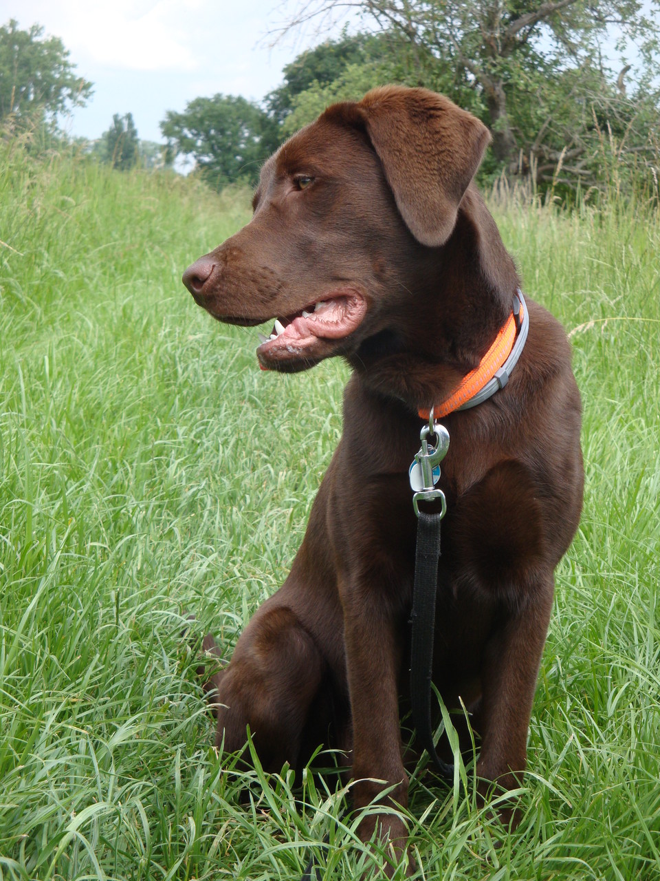 Murphy Juni 2014