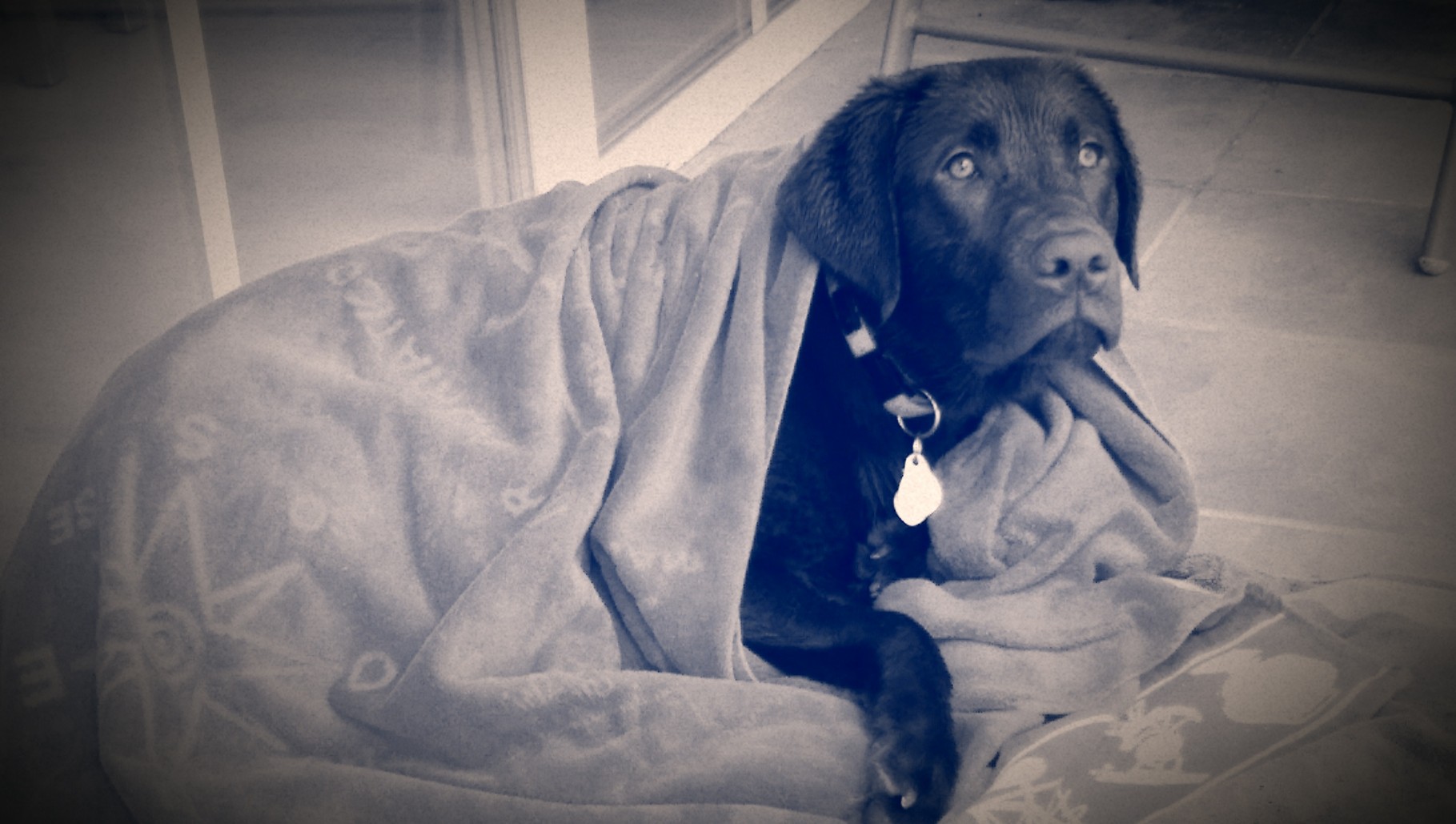 Murphy Mai 2014