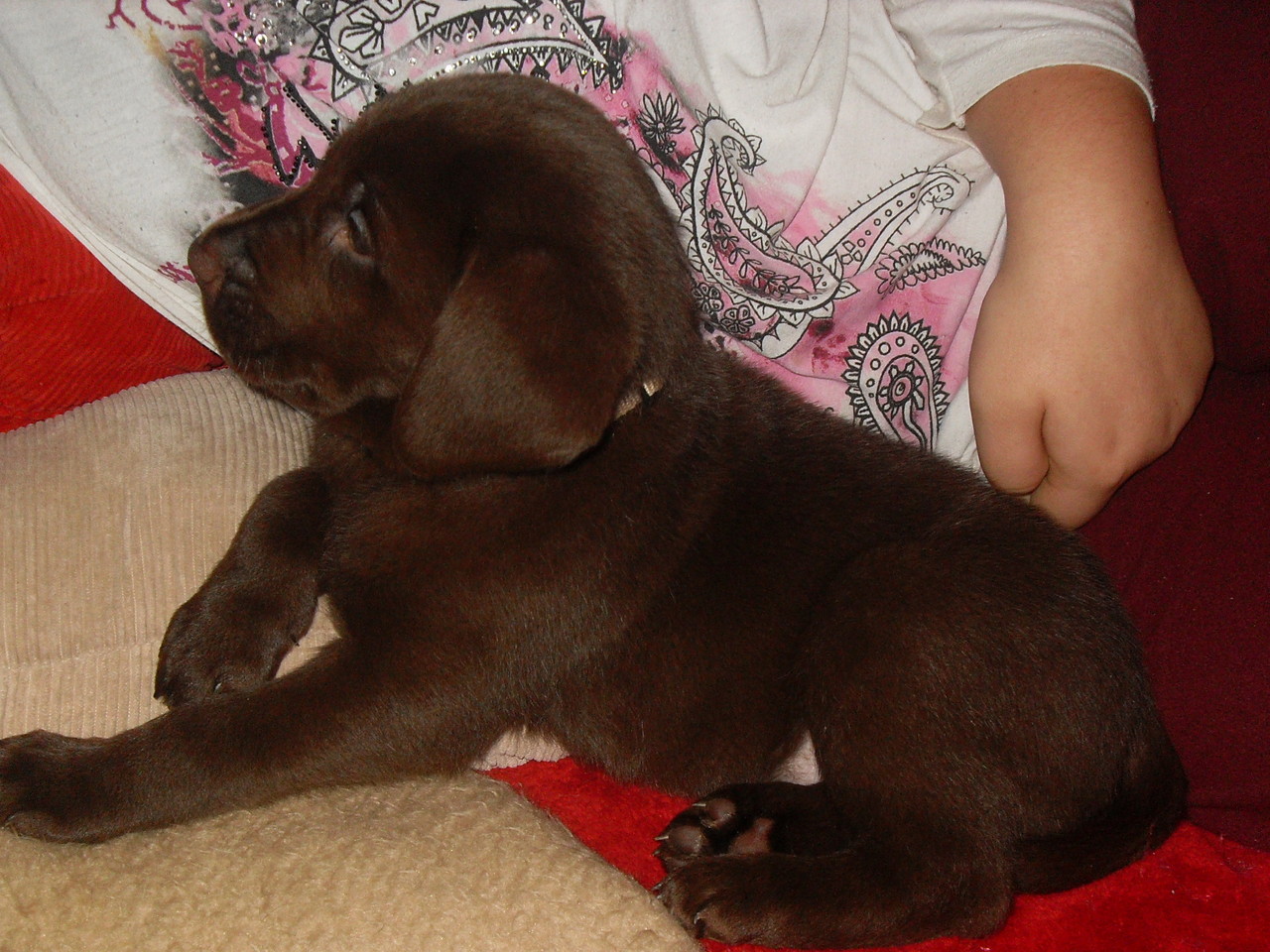 25.12.2013 Balou